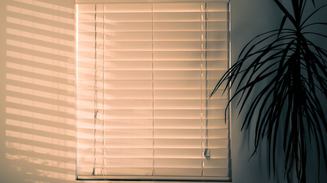 Beyond Convenience: Blinds for Allergy Relief & Pet Safety