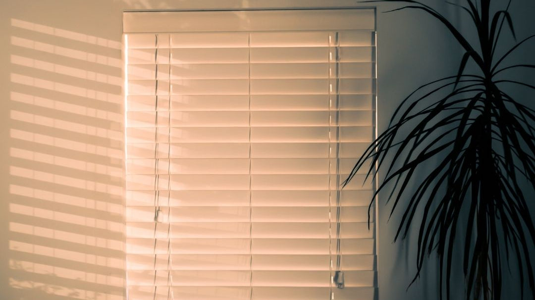 Cellular Shades Benefits: 7 Reasons Homeowners Are Making the Switch