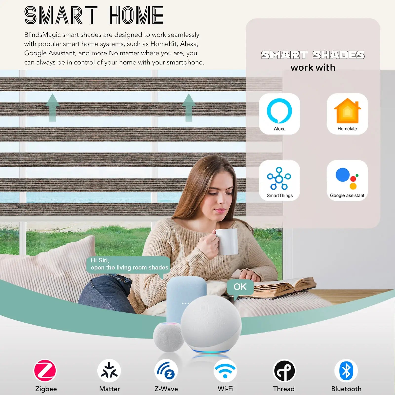 BlindsMagic Motorized Zebra Shades Klamath Alexa Google HomeKit SmartThings – electric blinds for windows