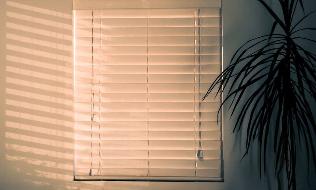 Beyond Convenience: Blinds for Allergy Relief & Pet Safety