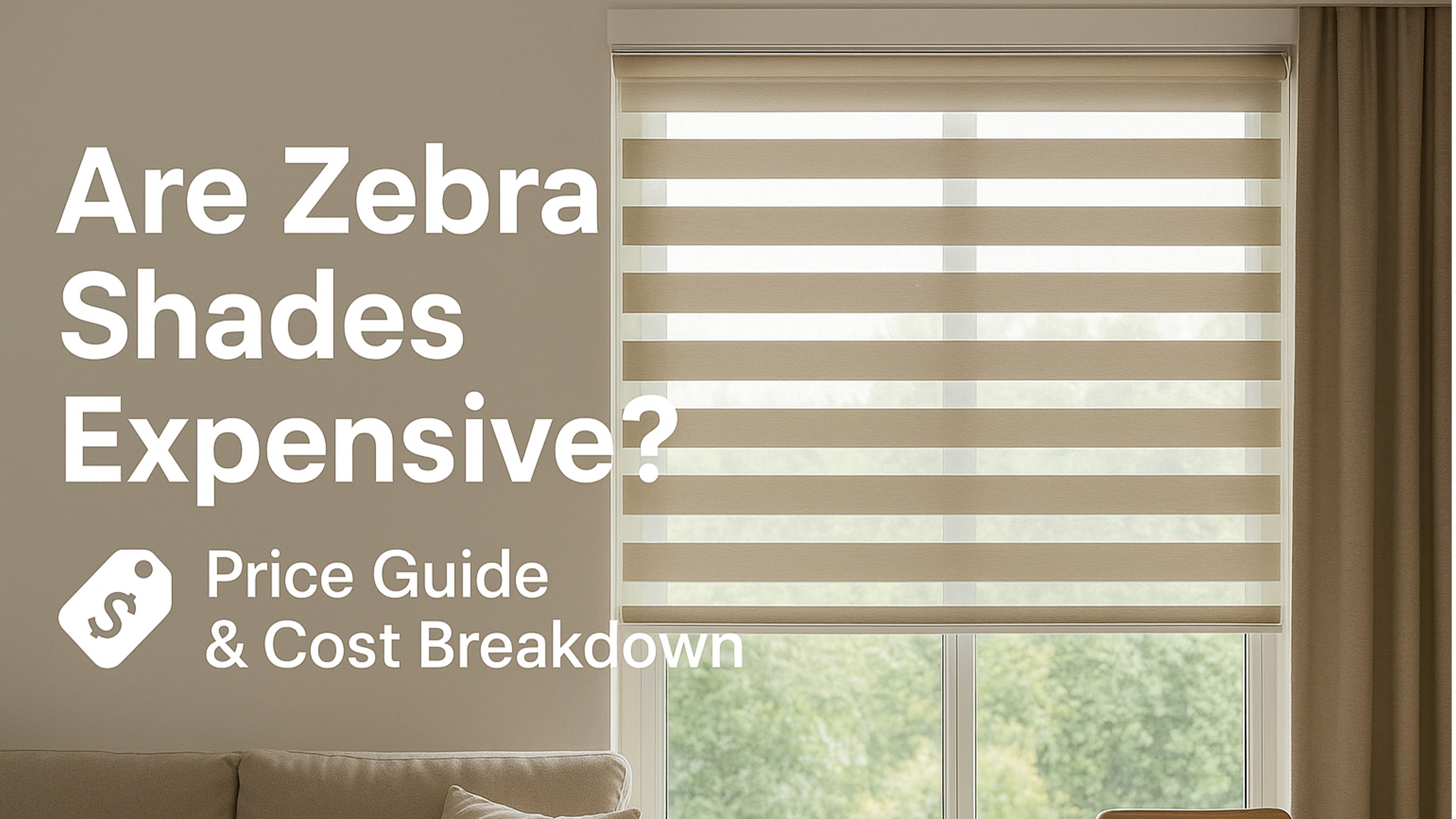 Are Zebra Shades Expensive? Price Guide & Cost Breakdown