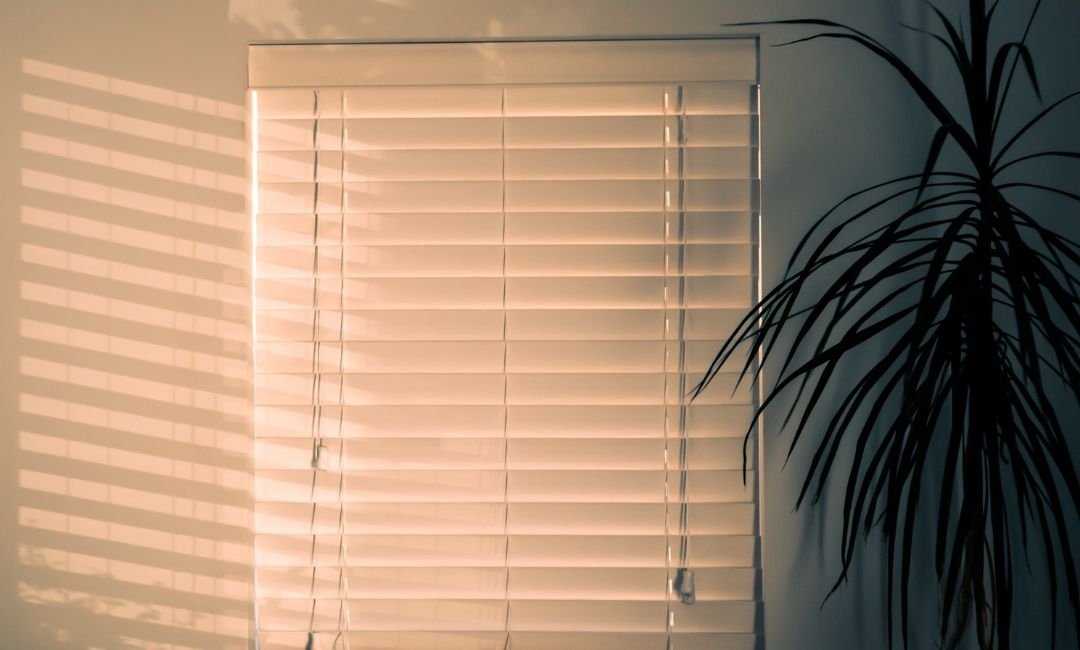 Cellular Shades Benefits: 7 Reasons Homeowners Are Making the Switch