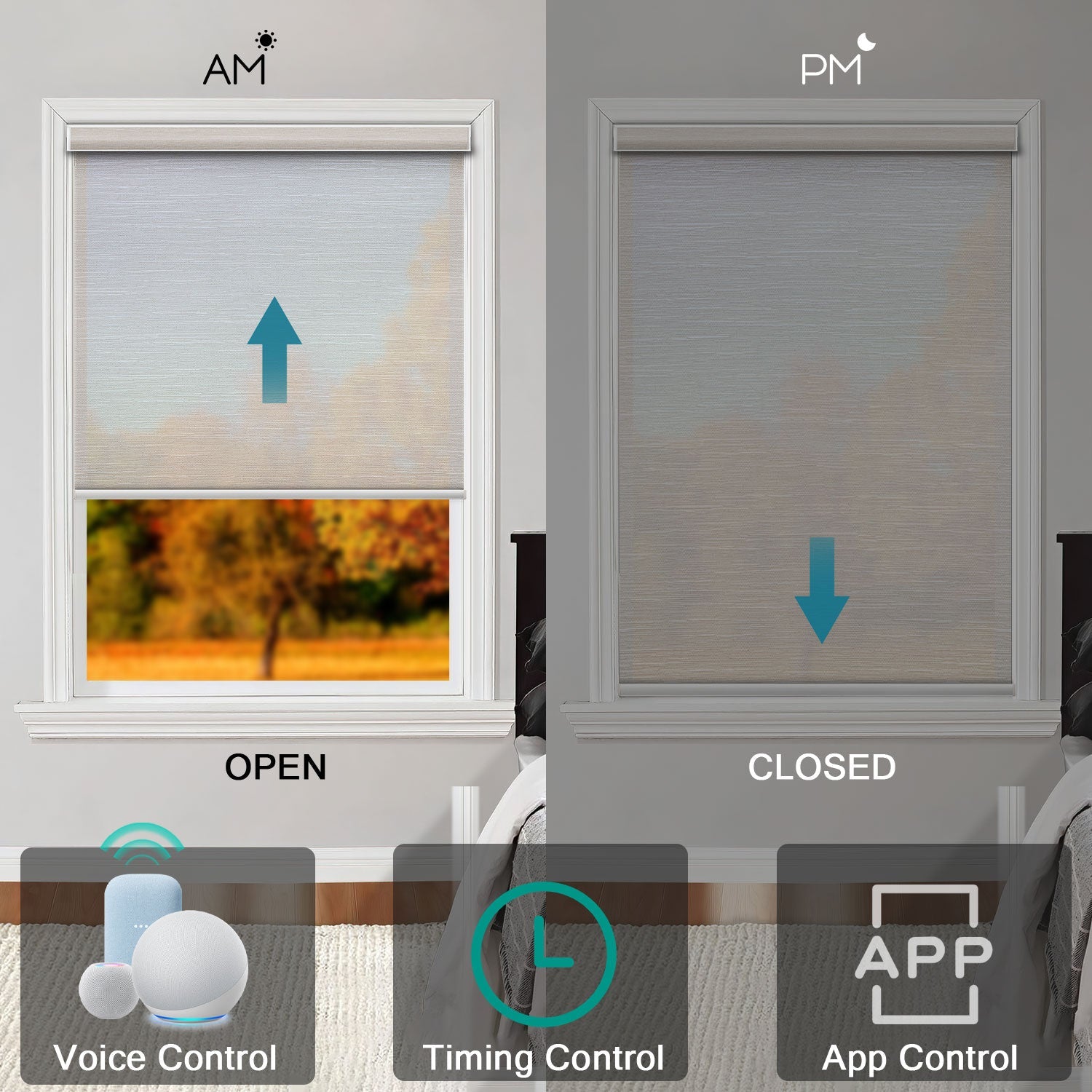 How Smart Shades Can Help Your Houseplants Thrive